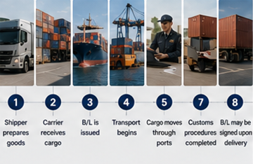 Step by step shipping process using Bill of Lading documents in international logistics