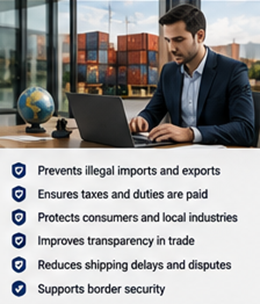 International logistics manager reviewing customs documentation and transport procedures
