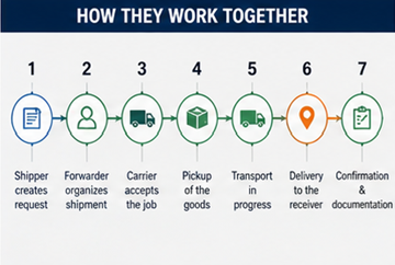 Step by step transport process in Europe from shipper to carrier and delivery